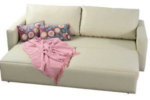 Differences Between  Futon and a Sofa Bed